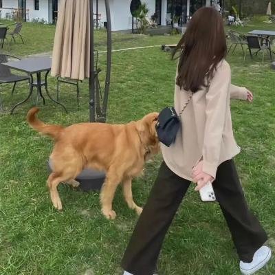 法外见真情